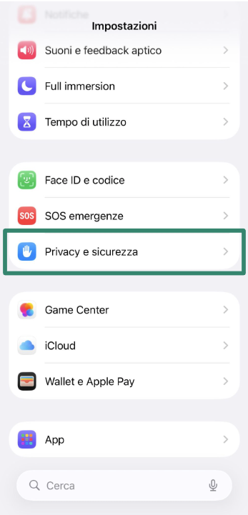 iPhone Settings screen with Privacy & Security highlighted.