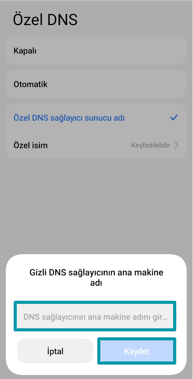 Enter The Dns Provider Settings Tr