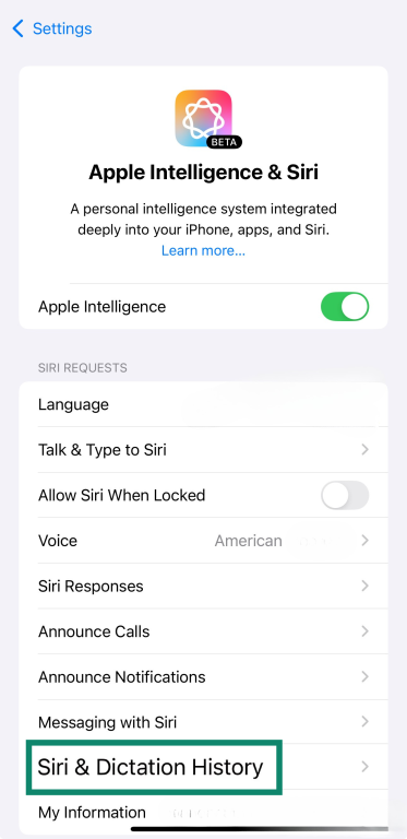 Siri & Dictation History option in iOS.