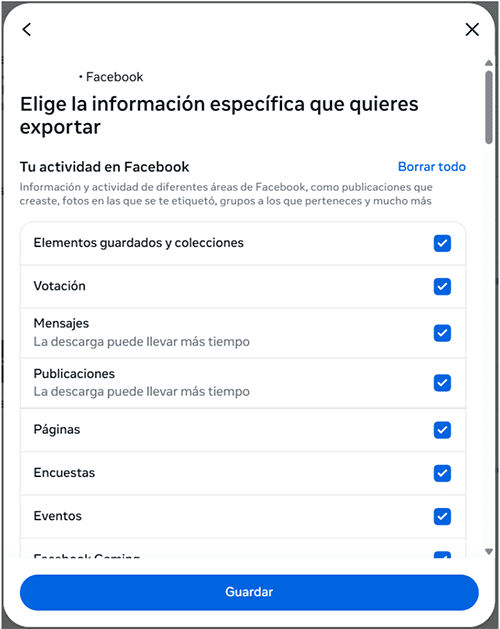Facebook choosing what activity information to export.