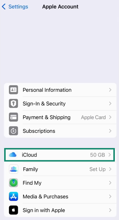 The Apple Account page of the Settings, showing the iCloud menu option.