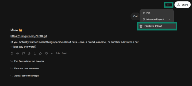Image showing how to delete a conversation on Grok