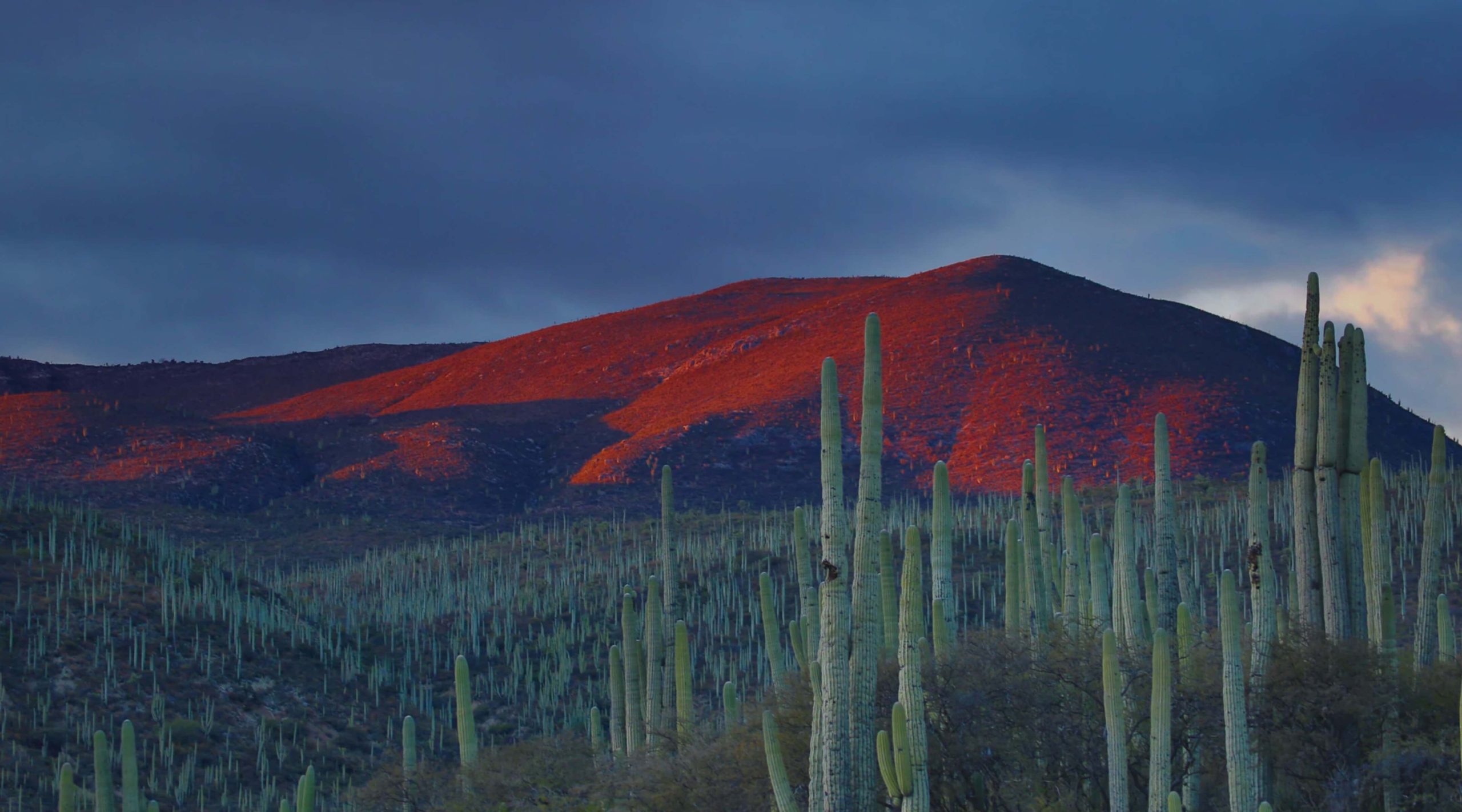 Лучший VPN сервис для Мексики в 2025