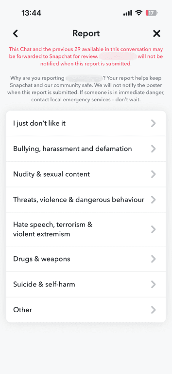 Snapchat report screen listing reasons such as bullying, nudity, threats, hate speech, and drugs.