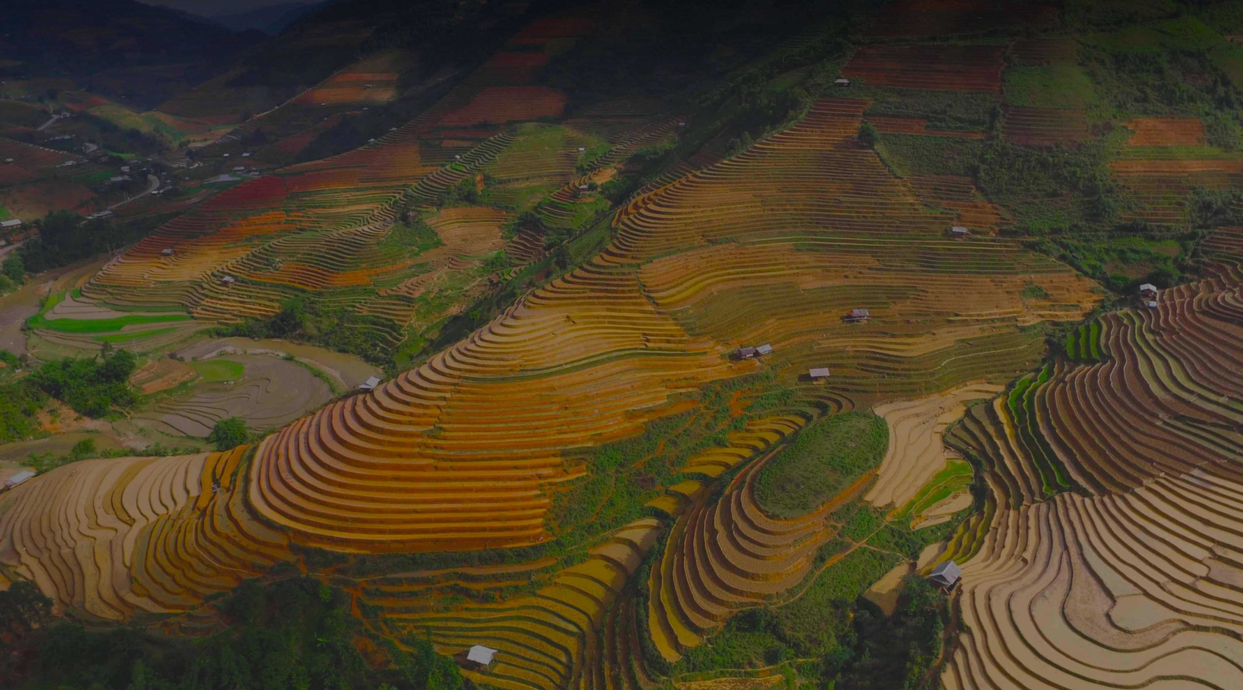 ดาวน์โหลด VPN ที่ดีที่สุดสำหรับเวียดนามในปี 2025