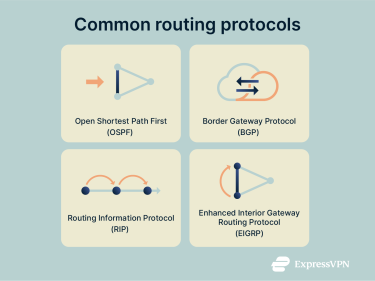A list of some of the most common routing protocols.