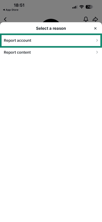 TikTok's menu for reporting a profile, asking if you wish to report a profile or a specific post.