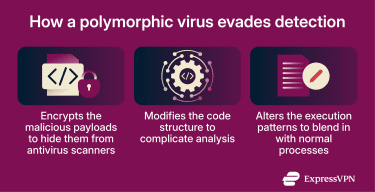 An infographic showing common techniques polymorphic viruses use to evade antivirus detection