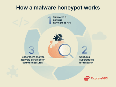 Graphic showing how a malware honeypot works.