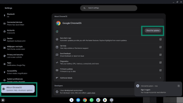About ChromeOS in the settings menu, showing the check for updates button