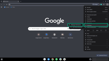 Drop down menu showing the extensions and mange extensions option