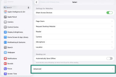 Advanced option among Safari app options in iPad.