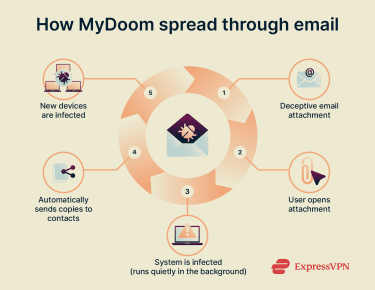 MyDoom email infection cycle.