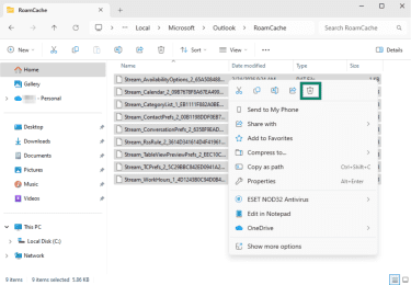 Deleting files from RoamCache folder, with the trash can icon highlighted.
