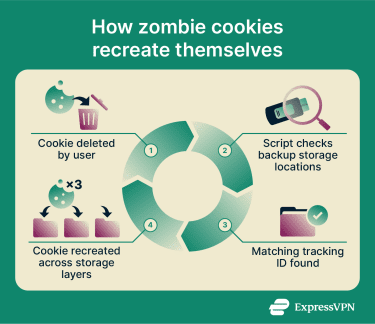 An infographic showing how zombie cookies regenerate themselves