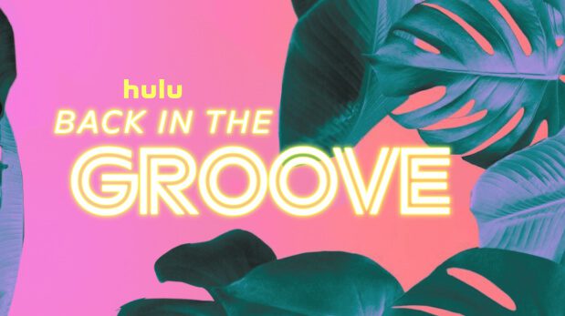 Back in the Groove title