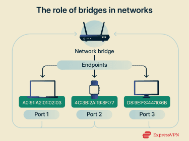 The role of bridges in networks.